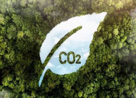 Taxa de carbono X certificação de carbono: entenda a diferença | ASN Nacional