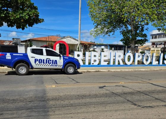 um marco na segurança pública – P.M.S.E.
