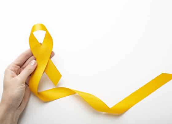 Alese reforça alerta do ´Setembro Amarelo´ na segunda quinzena de setembro