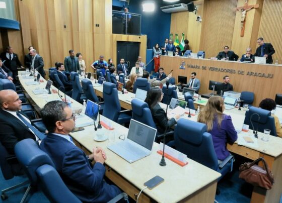 Aprovado projeto que garante capacitação de professores para atender alunos com epilepsia – FaxAju