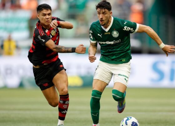 SAF é solução? Dirigente brasileiro na Europa vê Palmeiras e Flamengo como ‘exemplos’ e aponta ‘caminho’ para times em crise