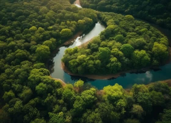 Conheça mais sobre justiça climática e regulamentação climática | ASN Nacional