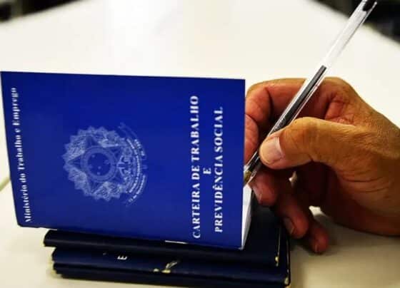 Desemprego recua para 5,6%, a menor taxa desde 2012, mostra IBGE – RO Acontece