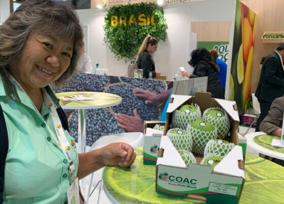 Goiaba de Carlópolis leva sabor e tradição do Paraná à Fruit Attraction, na Espanha | ASN Nacional