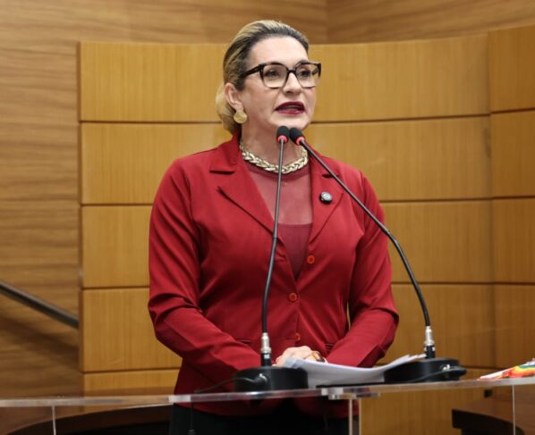 Linda Brasil aborda o Projeto de Lei conhecido como ‘PL da Anistia’
