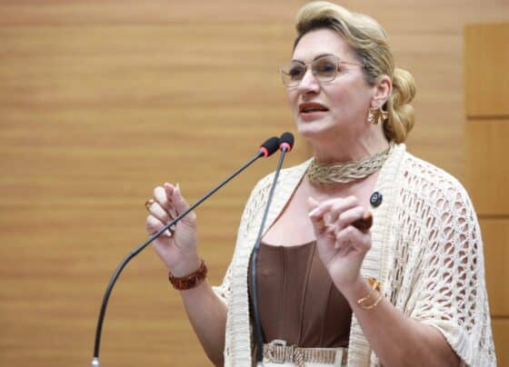 Linda Brasil anuncia vitória em condenação contra transfobia