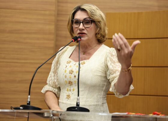 Linda Brasil defende prevenção aos abusos sexuais na internet