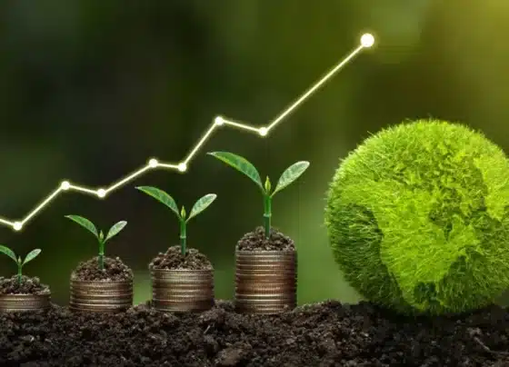 Qual a diferença entre financiamento climático e Fundo Verde para o Clima? | ASN Nacional