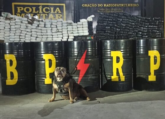 Radiopatrulha apreende mais de 200 kg de drogas em Nossa Senhora do Socorro