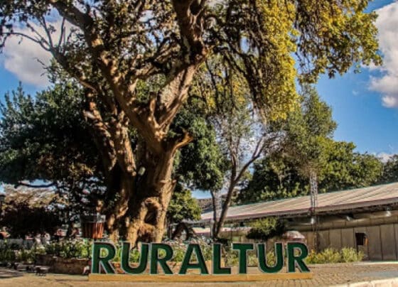 RuralTur 2025 consolida a Chapada Diamantina no roteiro do turismo rural do Brasil | ASN Nacional