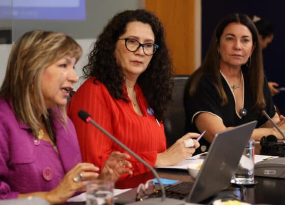 Sebrae sedia encontro sobre redução de desigualdades de gênero nos sistemas financeiros nas Américas | ASN Nacional