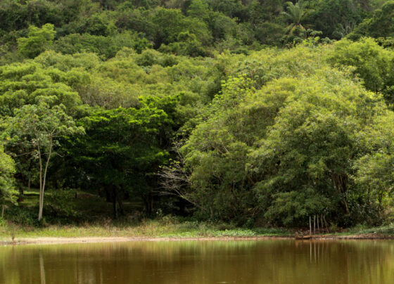 Sergipe lidera ranking em Sustentabilidade Ambiental na região Nordeste – FaxAju