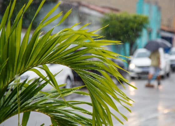 Sergipe tem previsão de chuvas e ventos intensos para este final de semana e pode ultrapassar 50 mm/dia – FaxAju