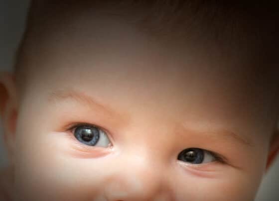 Shopping Jardins recebe ação educativa sobre o câncer retinoblastoma neste sábado – FaxAju