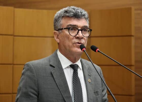 Vice-presidente da Alese trata em Brasília de PLC sobre divisas municipais