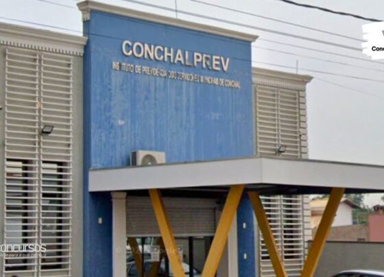 banca contratada para edital de nível fundamental