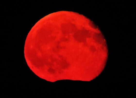 eclipse lunar total ocorre neste domingo, 7 de setembro – FaxAju