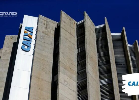 saiba mais sobre cargos previstos para nova seleção; edital em outubro