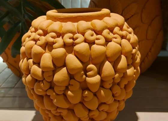 CASACOR Sergipe celebra o que é nosso na arte de ser e pertencer – FaxAju