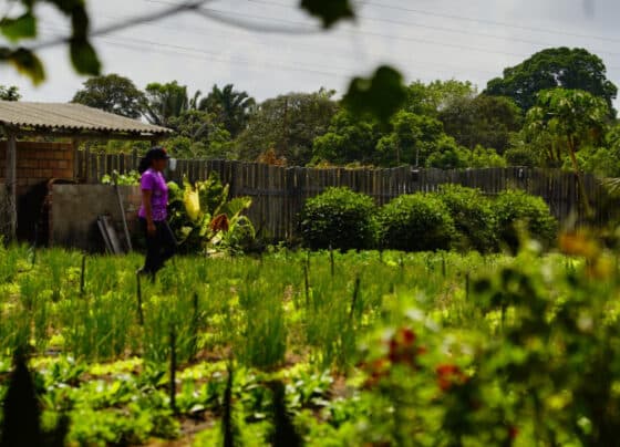 COP30 terá manifesto em defesa do empreendedorismo climático feminino | ASN Nacional