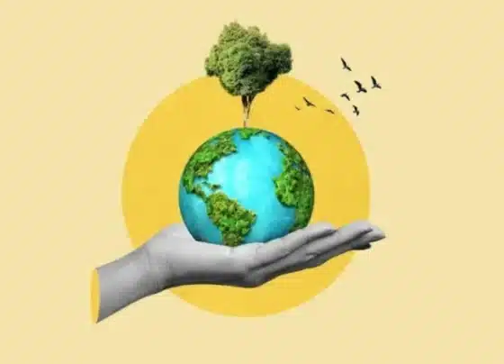 Conheça a diferença entre o Plano Clima e a Política Nacional sobre Mudança do Clima | ASN Nacional
