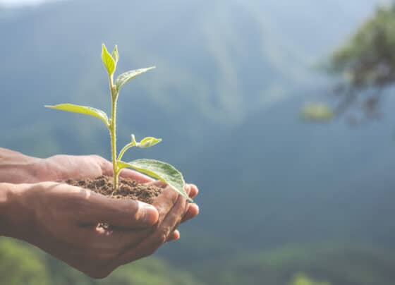 Desenvolvimento sustentável dos pequenos negócios será destaque na COP30 | ASN Nacional