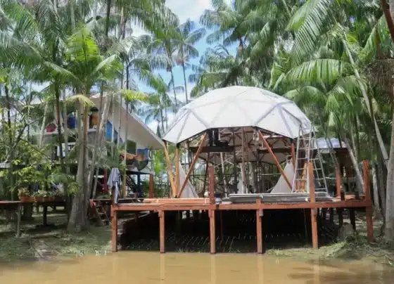 Ecoturismo: Com apoio do Sebrae, empreendedores paraenses lançam Rota Combú na ABAV Expo | ASN Nacional