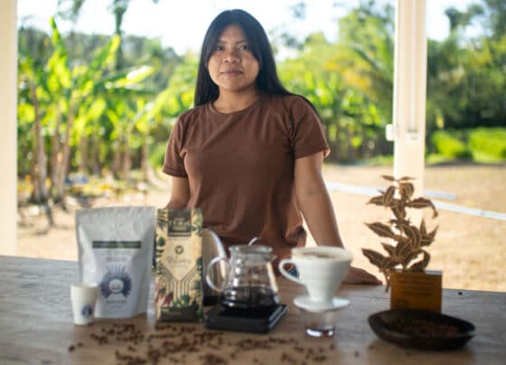Em Rondônia, povo Paiter Suruí mescla preservação ambiental e empreendedorismo de ponta | ASN Nacional
