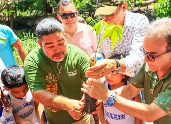 Escola da Floresta: onde a Amazônia é a sala de aula e o futuro é sustentável | ASN Nacional