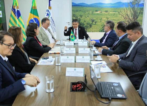 Estímulo ao empreendedorismo leva 2,5 milhões de pessoas do CadÚnico a se transformarem em MEI | ASN Nacional