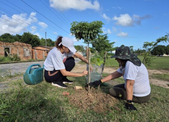 Evento promove plantio de 110 mudas em Itabaiana e consciência ambiental em ação Pré-COP 30 – RO Acontece