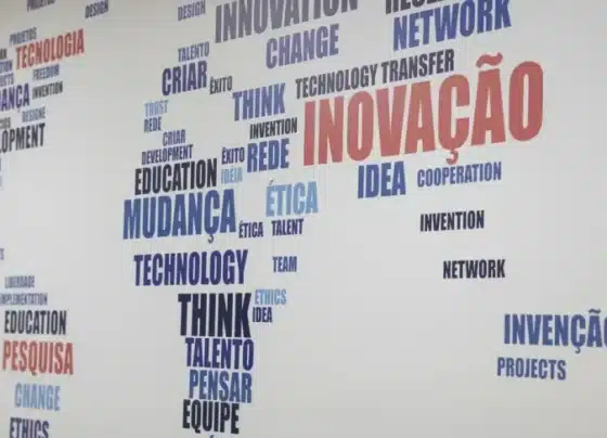 Falta de clareza sobre retorno afasta investidores-anjo e destaca startups com gestão estruturada | ASN Nacional