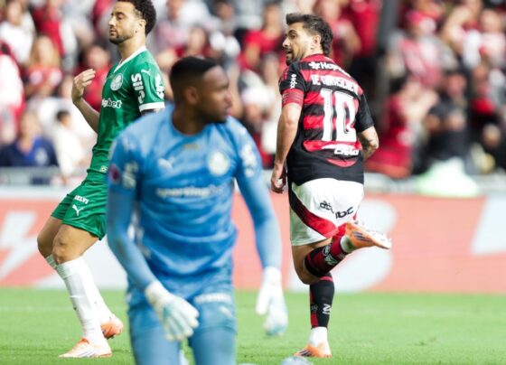 Flamengo ‘cola’ no Palmeiras em chances de título do Brasileirão; veja os números