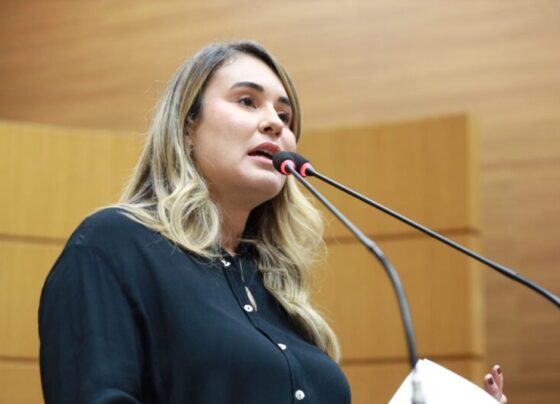 Kitty Lima elogia avanços na saúde e critica secretário de Itabaiana por falas sobre animais comunitários – Portal Imprensa 1