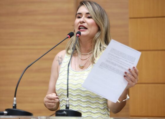 Kitty Lima lamenta destruição de casas para gatos na Coroa do Meio