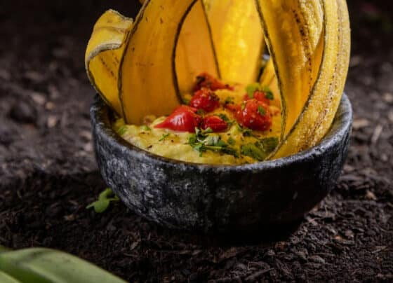 Mais do que tendência: alimentação vegetariana cria oportunidades para diferenciação no mercado | ASN Nacional