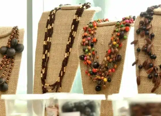 Potencial de produtos da bioeconomia para a moda será destaque na SPFW | ASN Nacional
