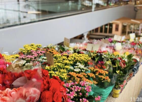 Duas rodas, saúde e flores: um fim de semana especial na Ferreira Costa