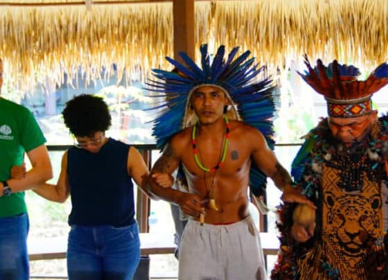 Sebrae acelera a bioeconomia amazônica: conexões que transformam o potencial em realidade | ASN Nacional