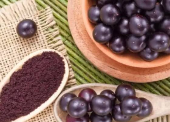 Sebrae disponibiliza cartilha para gestores e produtores rurais afetados pelo tarifaço | ASN Nacional
