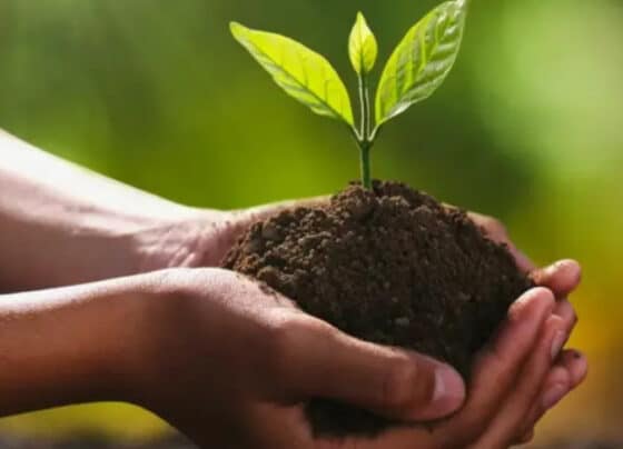 Sebrae promove encontro pré-COP30 para alinhar pequenos negócios às estratégias climáticas | ASN Nacional