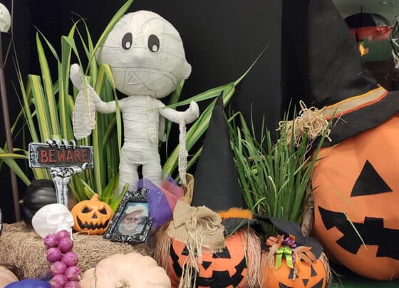 Shopping Jardins realiza “Caça aos Doces” no Dia das Bruxas, em Aracaju – FaxAju