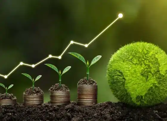 Startups de impacto socioambiental se destacam na transição para uma economia sustentável | ASN Nacional