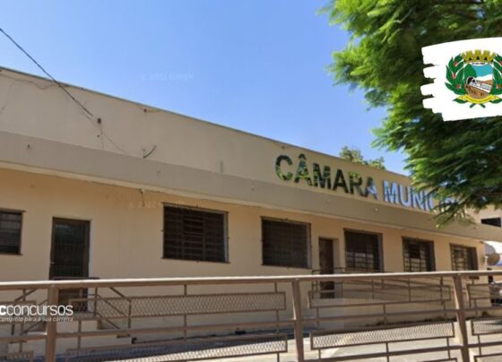 banca contratada para nova seleção