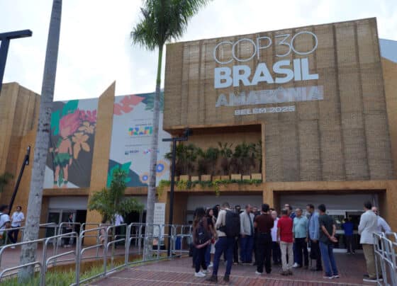 10 momentos que marcaram a atuação do Sebrae na COP30 | ASN Nacional