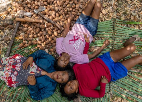 Bioeconomia nos cocais: indústria sustentável do babaçu gera renda e qualidade de vida a quebradeiras no Maranhão  | ASN Nacional