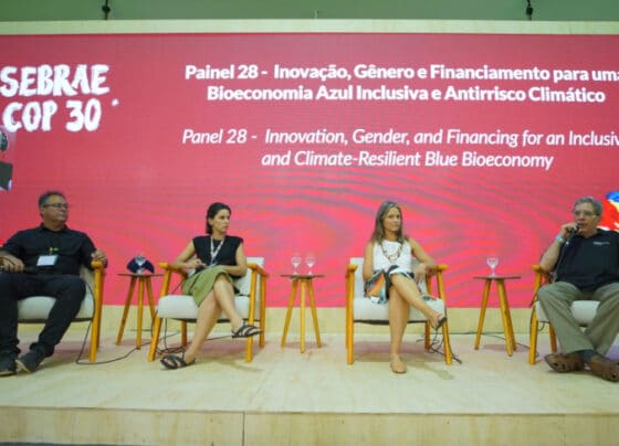 COP30: financiamento e capacitação são decisivos para pequenos negócios na agenda climática | ASN Nacional