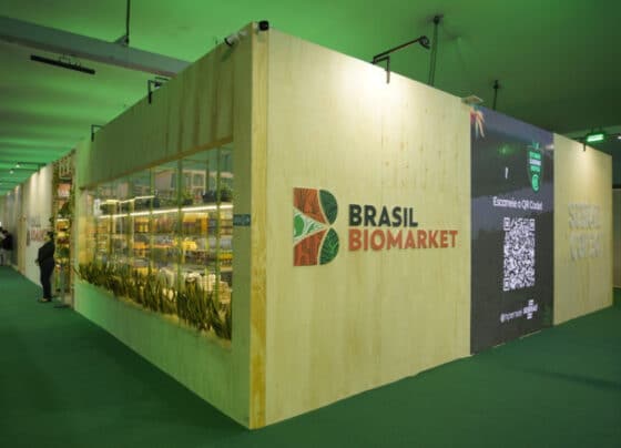 COP30: loja colaborativa do Sebrae destaca atuação de pequenos negócios da bioeconomia | ASN Nacional