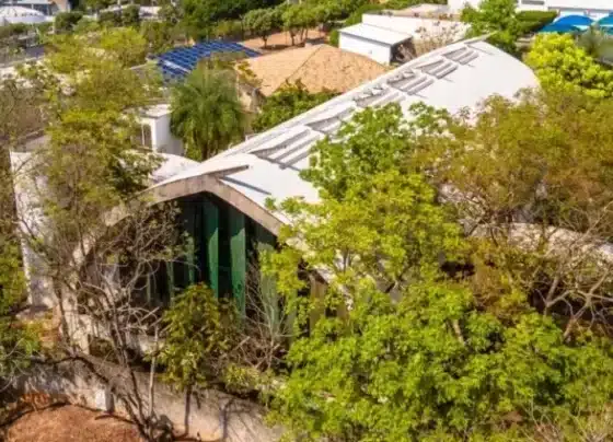 Centro Sebrae de Sustentabilidade lança novos cursos gratuitos | ASN Nacional