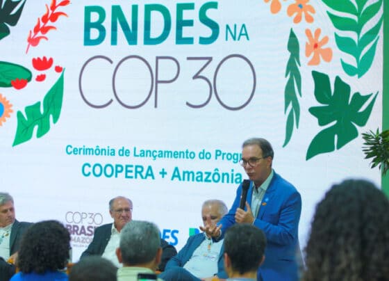 Com investimento de R$ 107 milhões, Sebrae e MDIC impulsionam cooperativismo extrativista na Amazônia Legal | ASN Nacional